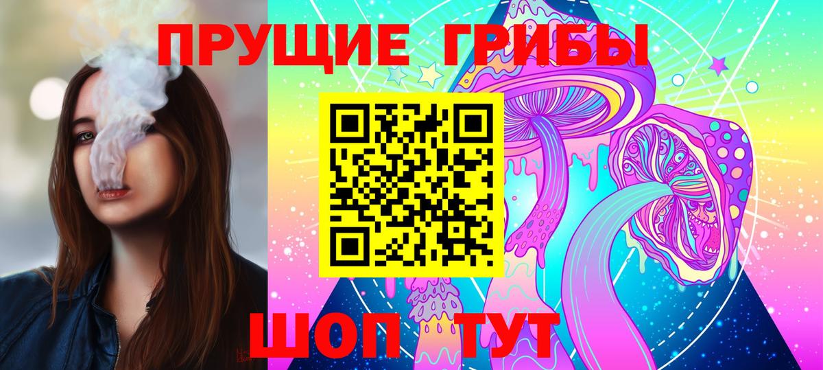 Бийск  Псилоцибиновые грибы мицелий  Вход с VPN 